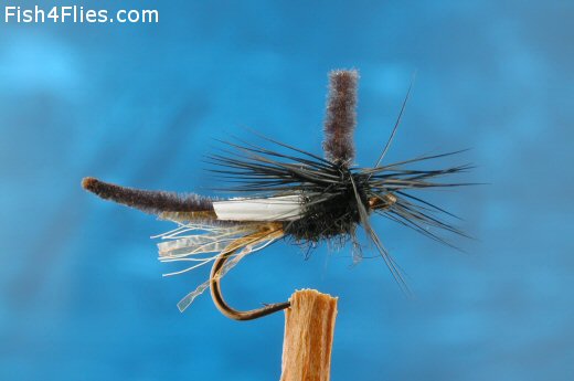 JC's Para Midge